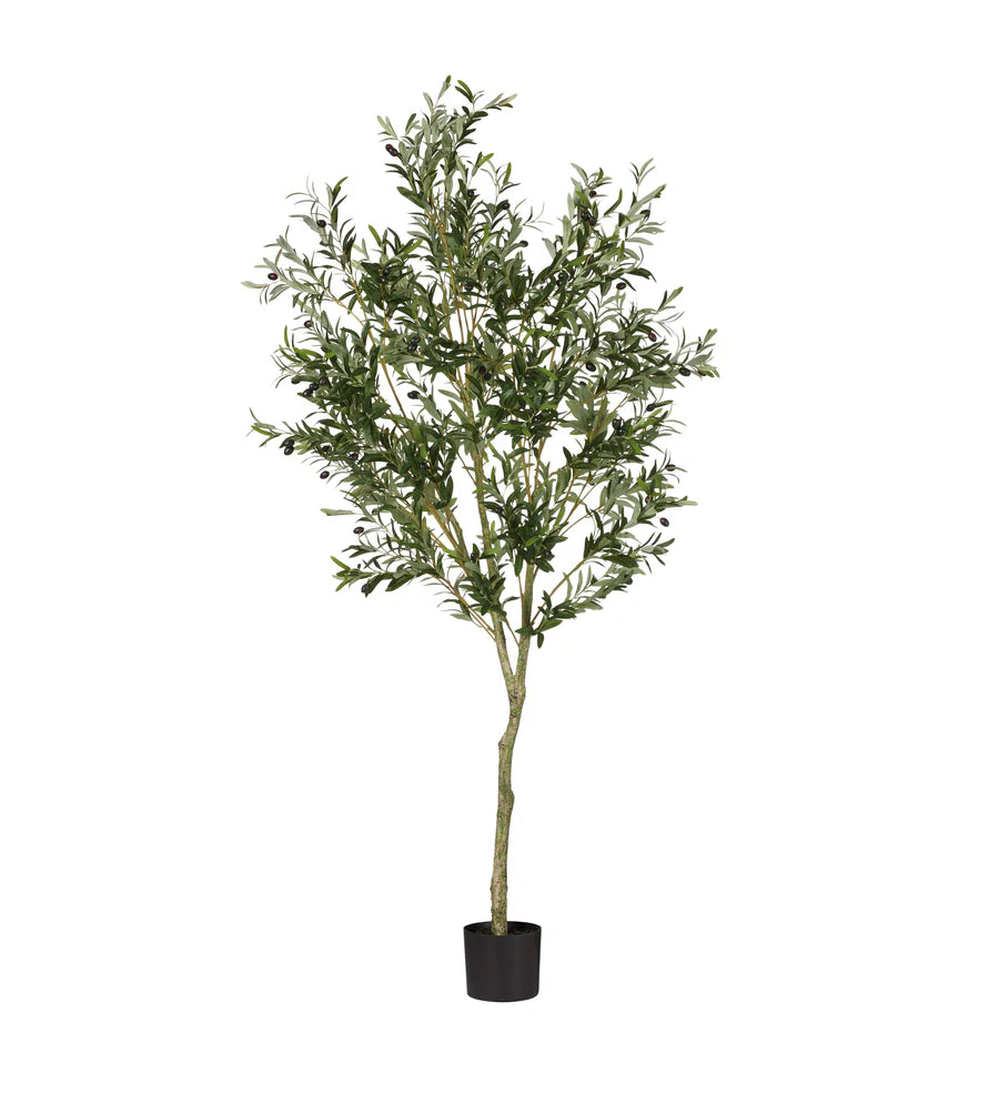 Faux Potted Olive Tree - Large - Black