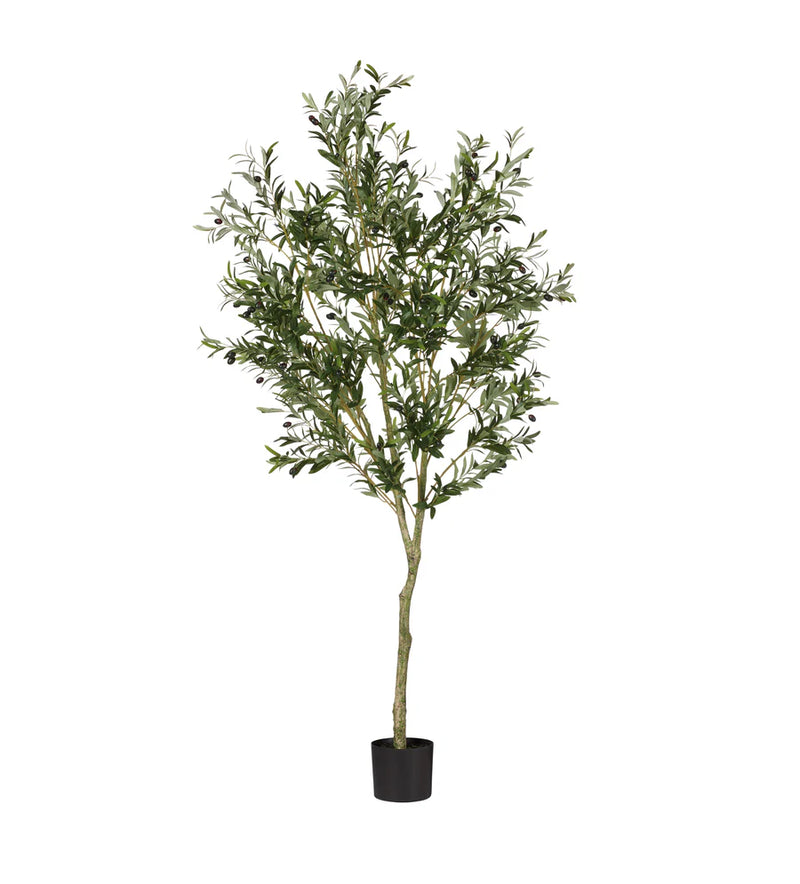 Faux Potted Olive Tree - Large - Black