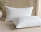 2 Pack Warm & Toasty Firm Pillows